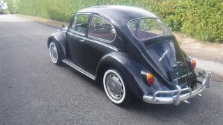 VW Käfer Type II 1300