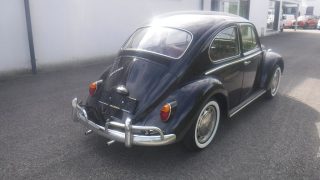 VW Käfer Type II 1300