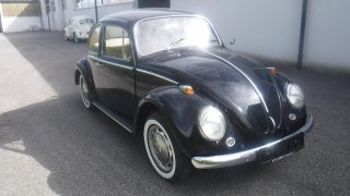 VW Käfer Type II 1300