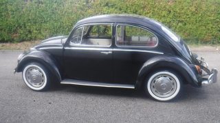 VW Käfer Type II 1300