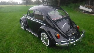 VW Käfer Type II 1300