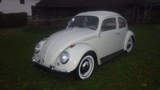 VW Käfer Type II Luxus