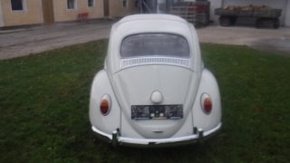 VW Käfer Type II Luxus