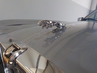 Jaguar XJ 12  5,3 Serie 3