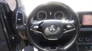 Skoda Karoq 2,0 TDI DSG Style